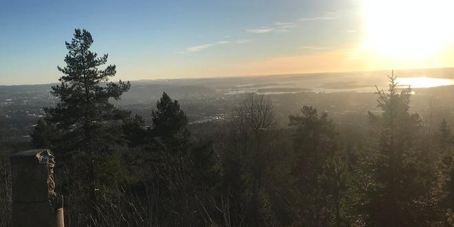 Bilde/illustrasjon om Ris vel