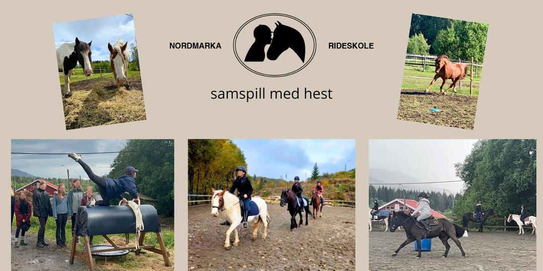Bilde/illustrasjon om Nordmarka Rideskole - Samspill med hest